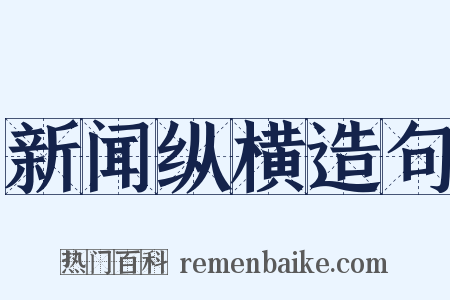 新闻纵横造句是什么意思的图片